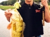 peacockbass